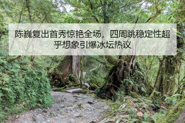 chen-wei-fu-chu-shou-xiu-jing-yan-quan-chang-si-zhou-tiao-wen-ding-xing-chao-hu-xiang-xiang-yin-bao-bing-tan-re-yi-2-134.jpg